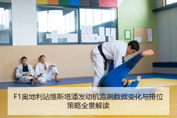 ao-di-li-zhan-wei-si-ta-pan-fa-dong-ji-jian-ce-shu-ju-bian-hua-yu-pai-wei-ce-lve-quan-jing-jie-du-2-515.jpg